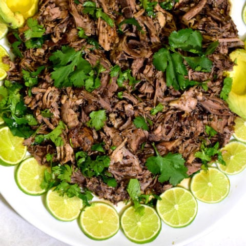 Instant pot pork barbacoa hot sale