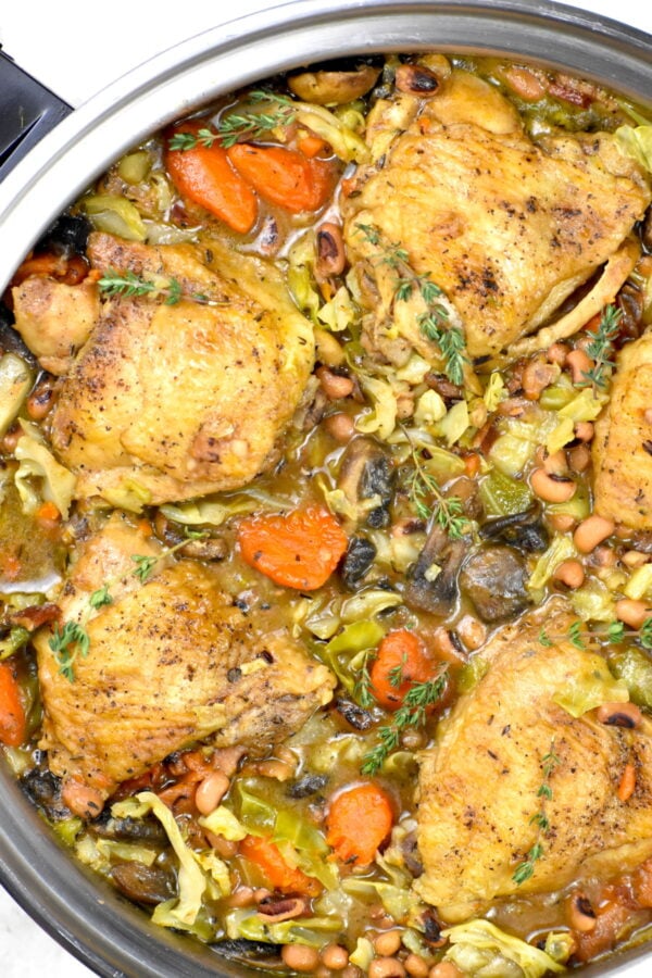 https://gypsyplate.com/wp-content/uploads/2022/01/southern-braised-chicken_02-600x900.jpg