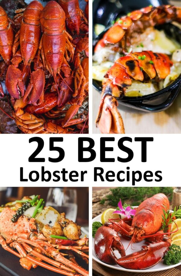 gourmet lobster dishes