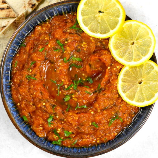 Zaalouk (Moroccan Eggplant Dip) GypsyPlate