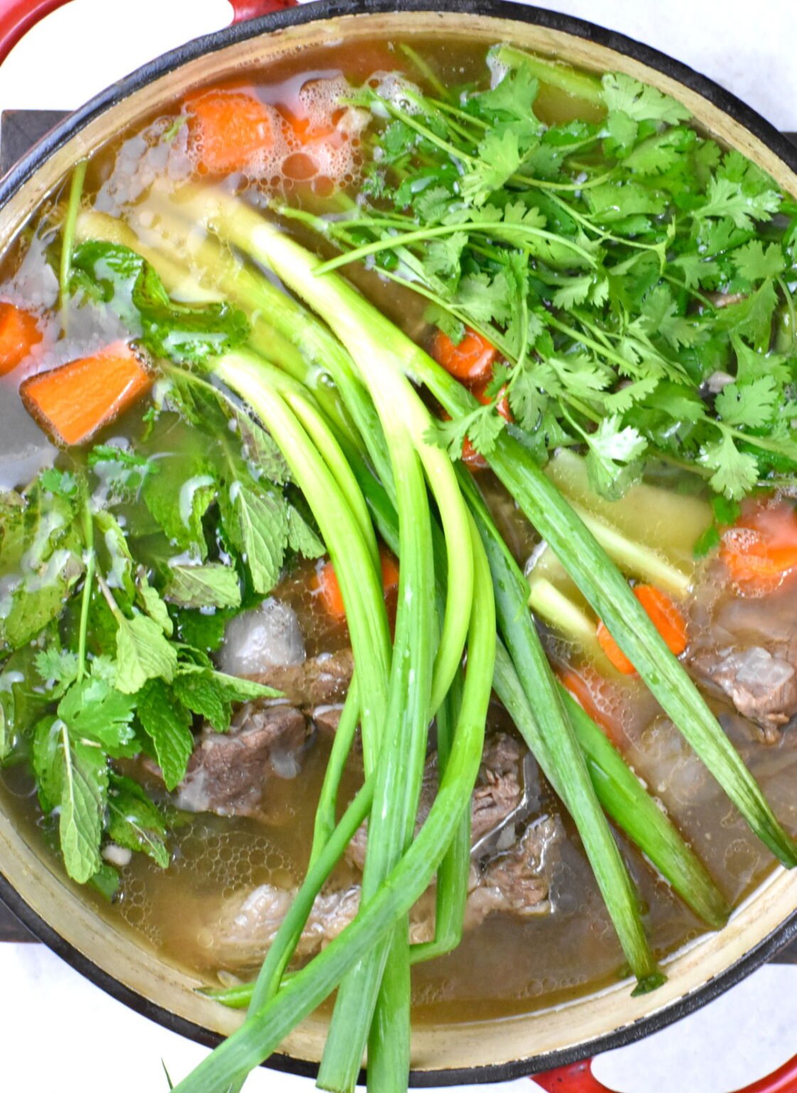 Caldo de Res (Mexican Beef & Vegetable Soup) GypsyPlate