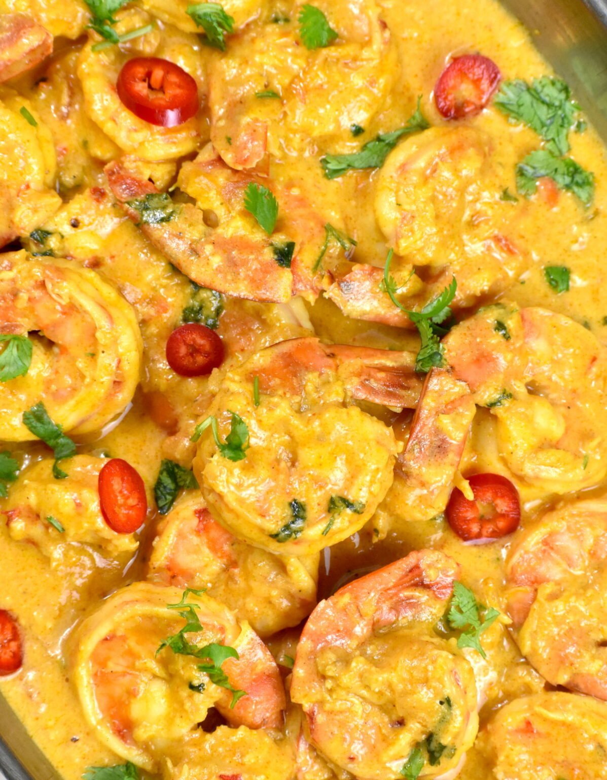 Shrimp Korma GypsyPlate