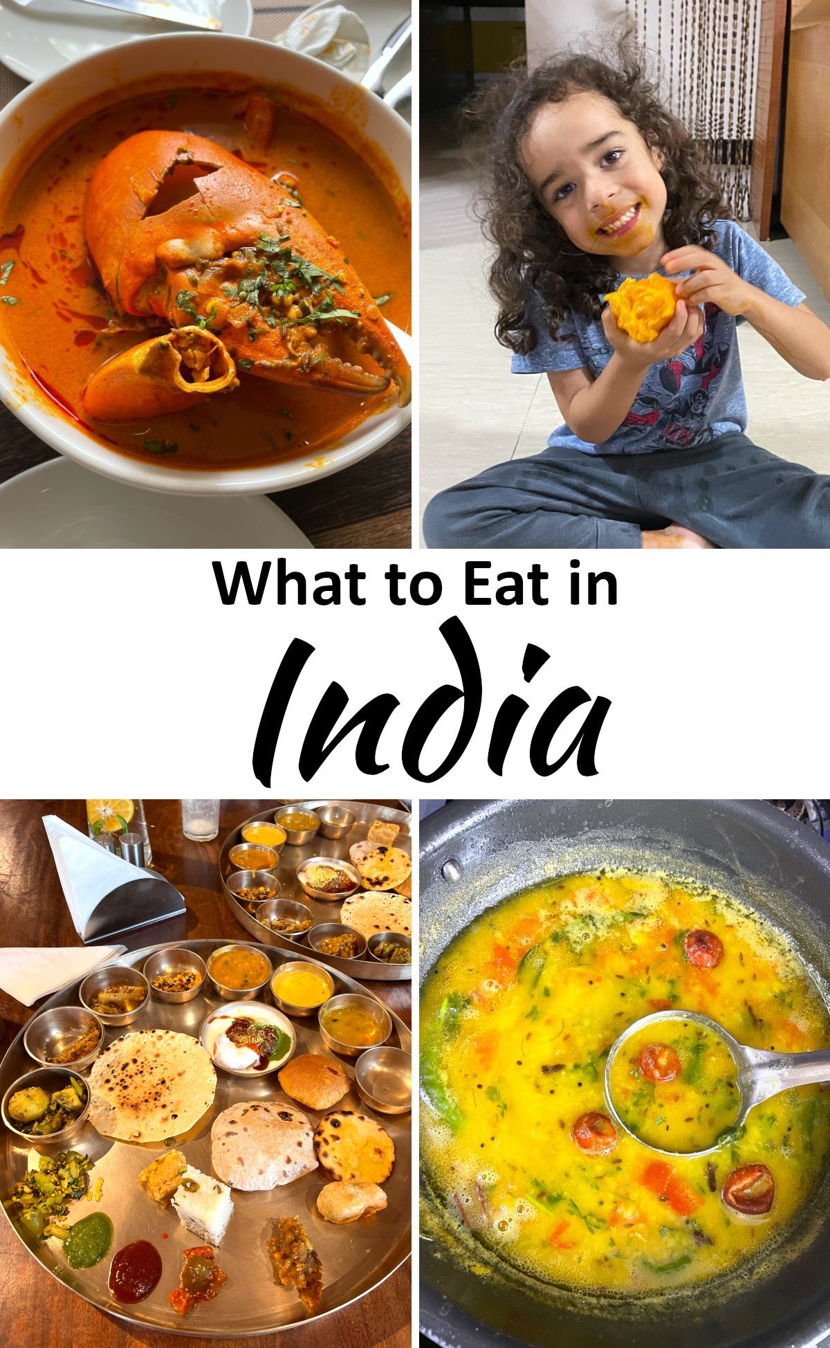 What to Eat in India GypsyPlate
