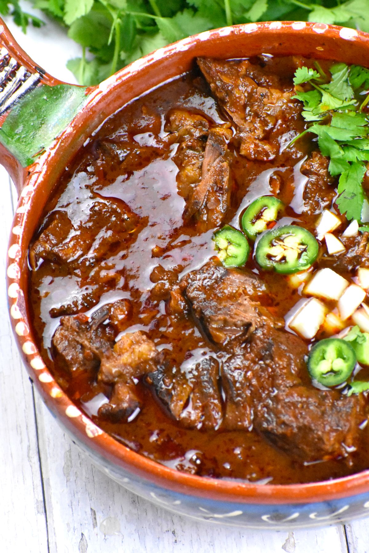 Birria (Mexican Beef Stew) GypsyPlate