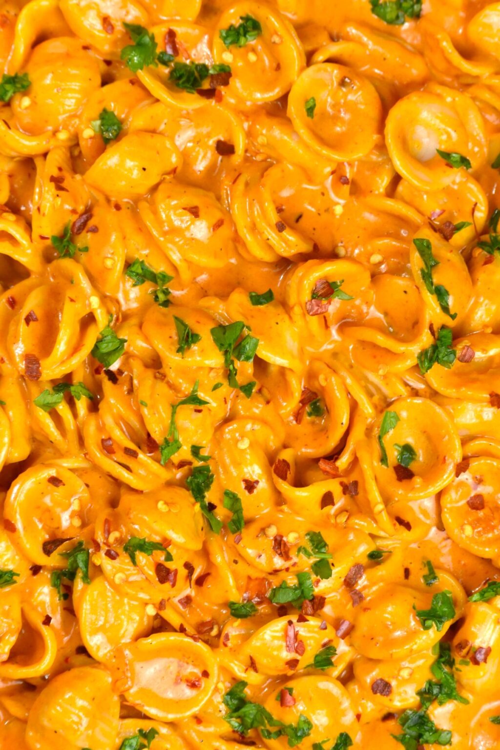 Gigi Hadid Pasta (Spicy Pasta Alla Vodka) GypsyPlate