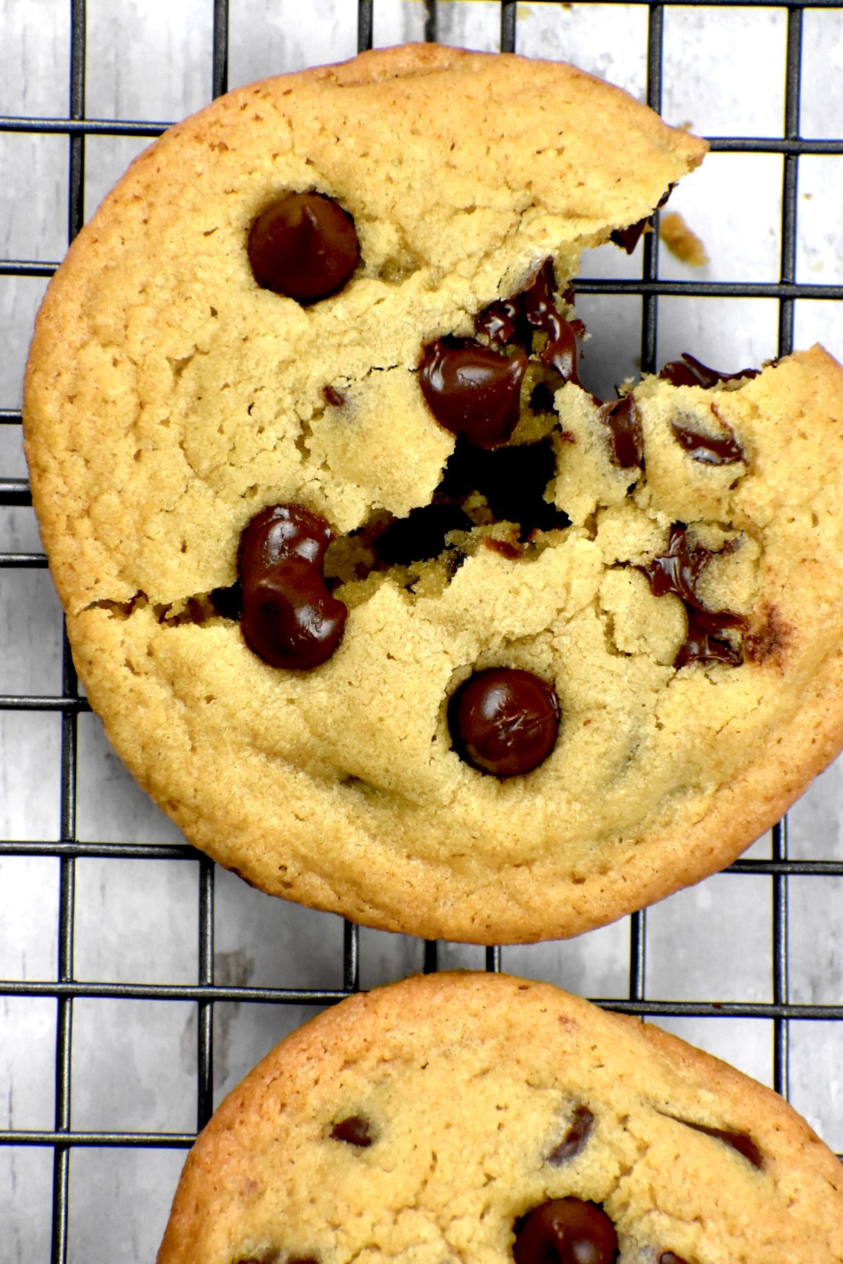 Noah's Chocolate Chip Cookies GypsyPlate
