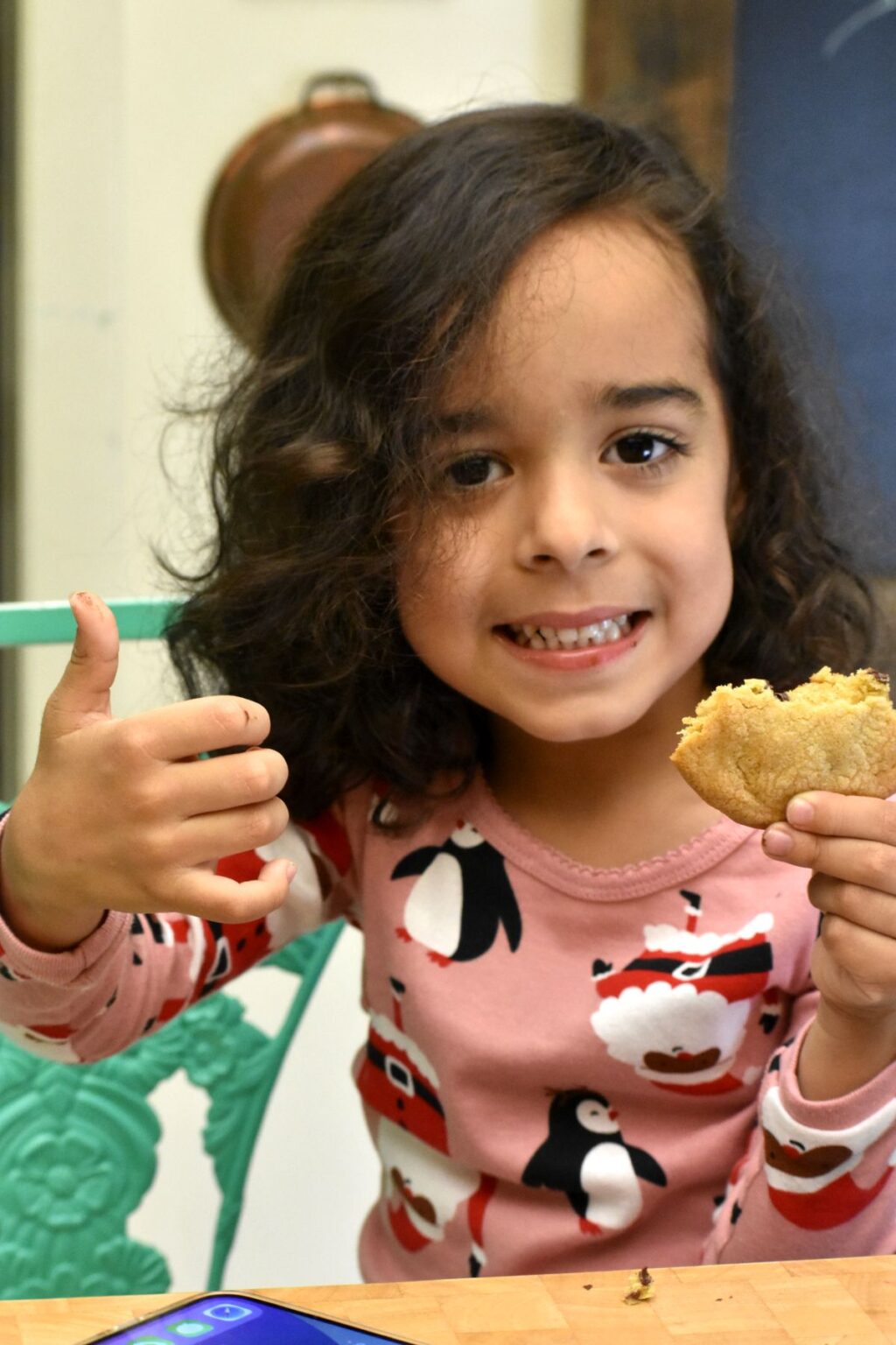 Noah's Chocolate Chip Cookies GypsyPlate