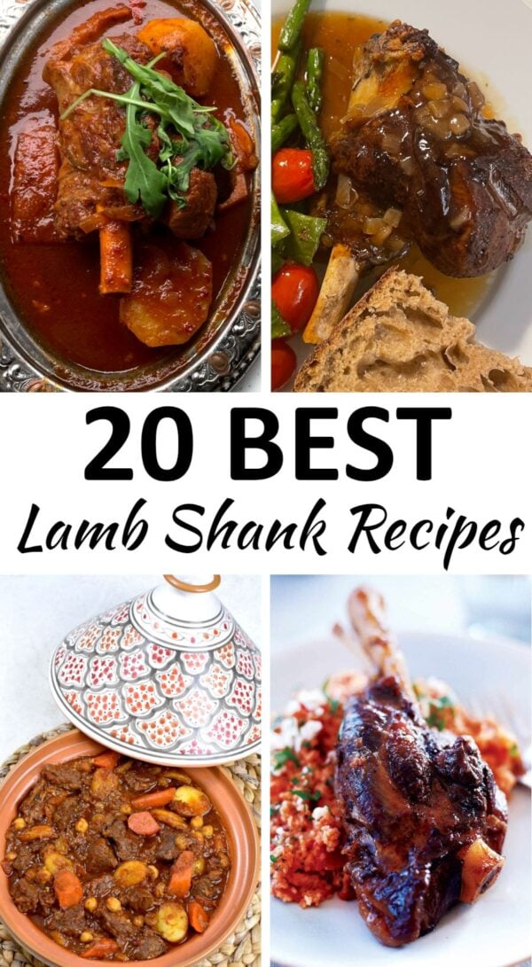 lamb shank recipes pin