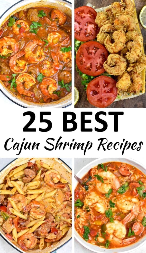 Cajun Seasoning Recipe - Dinner at the Zoo