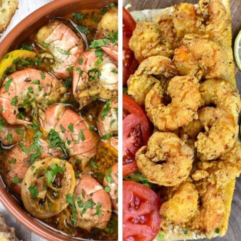 https://gypsyplate.com/wp-content/uploads/2023/06/the-best-cajun-shrimp-recipes_02-480x480.jpg