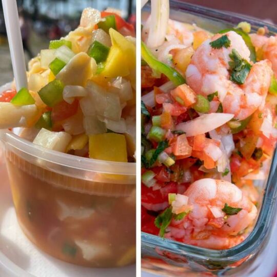 The 10 BEST Ceviche Recipes - GypsyPlate