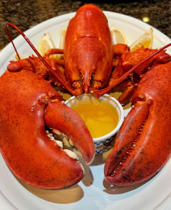 a large cooked lobster