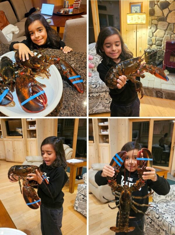 Noah playing with a lobster before cooking it