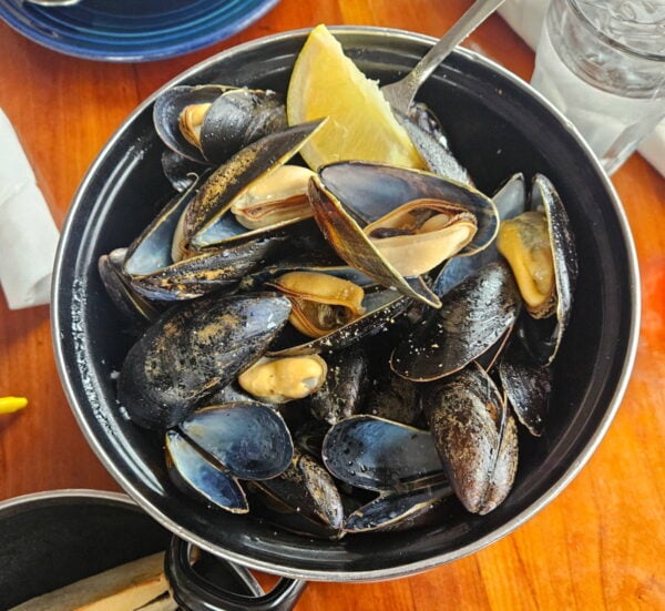 bowl of mussels