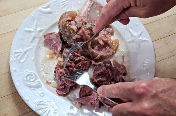 removing the meat from the ham hock