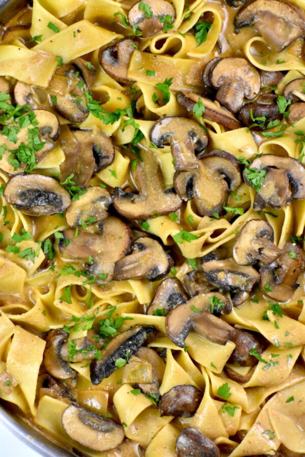 Mushroom stroganoff served with egg pasta.
